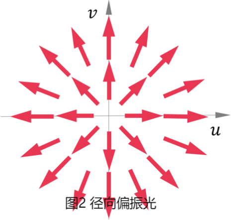 请问径向偏振光(也就是矢量光束的一种)同圆偏振有什么区别呢? - 知乎
