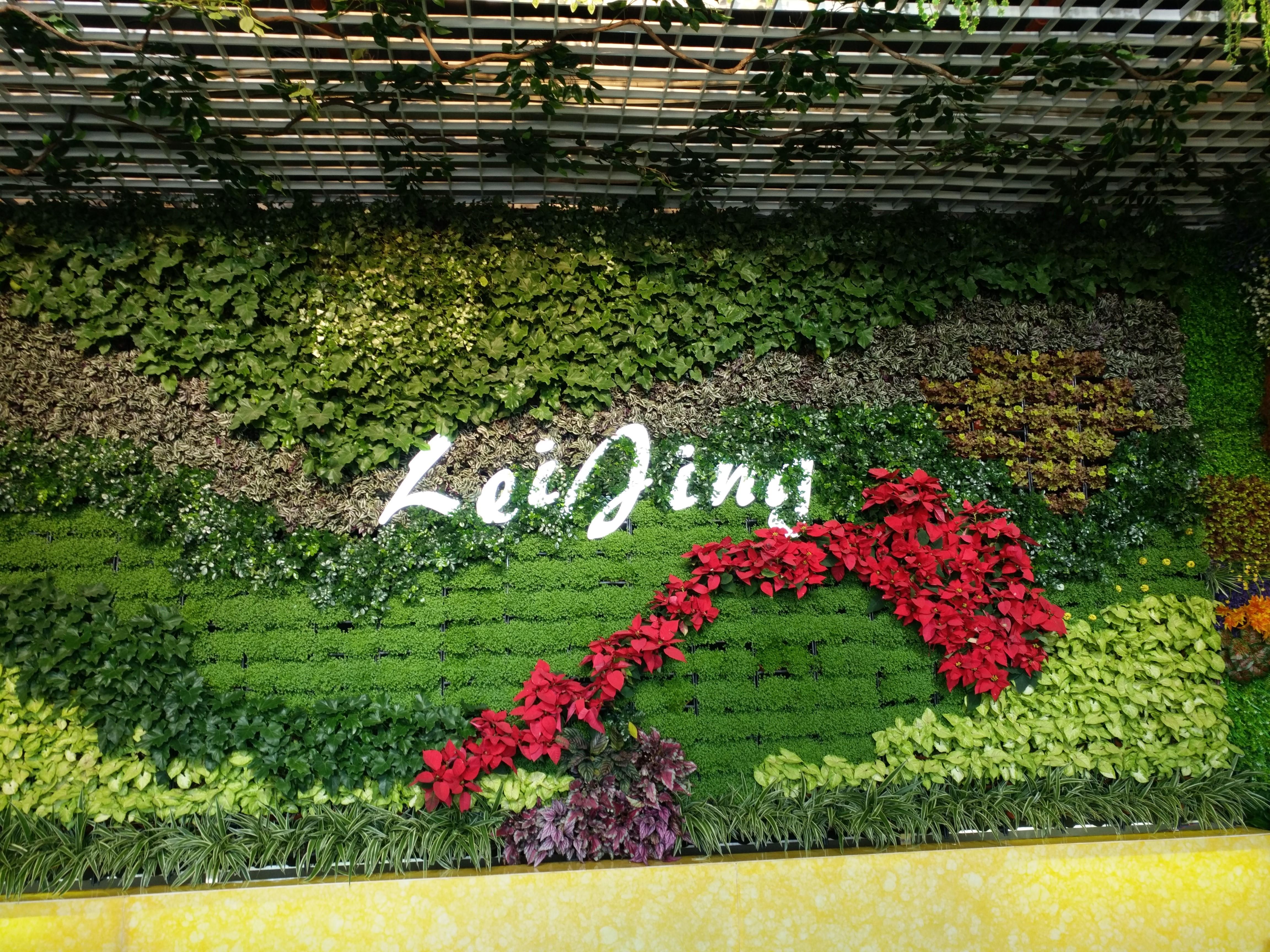 从零开始学习植物墙