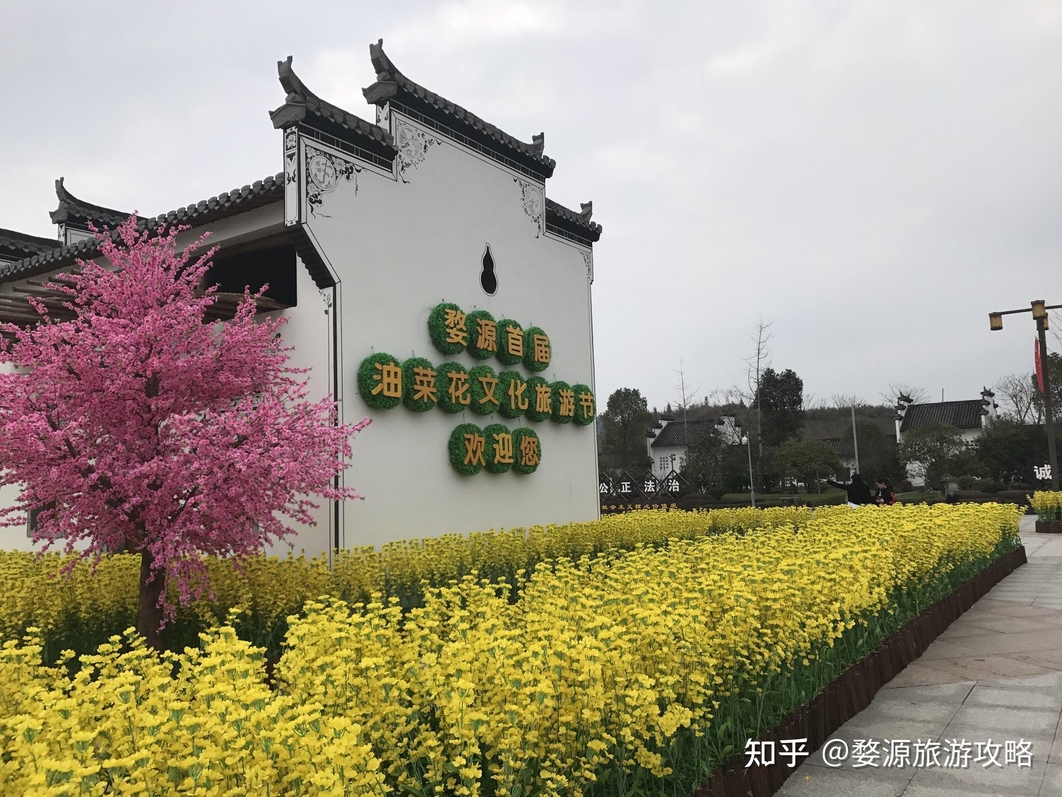 婺源——中国最美乡村，油菜花赏花自由行攻略 - 知乎