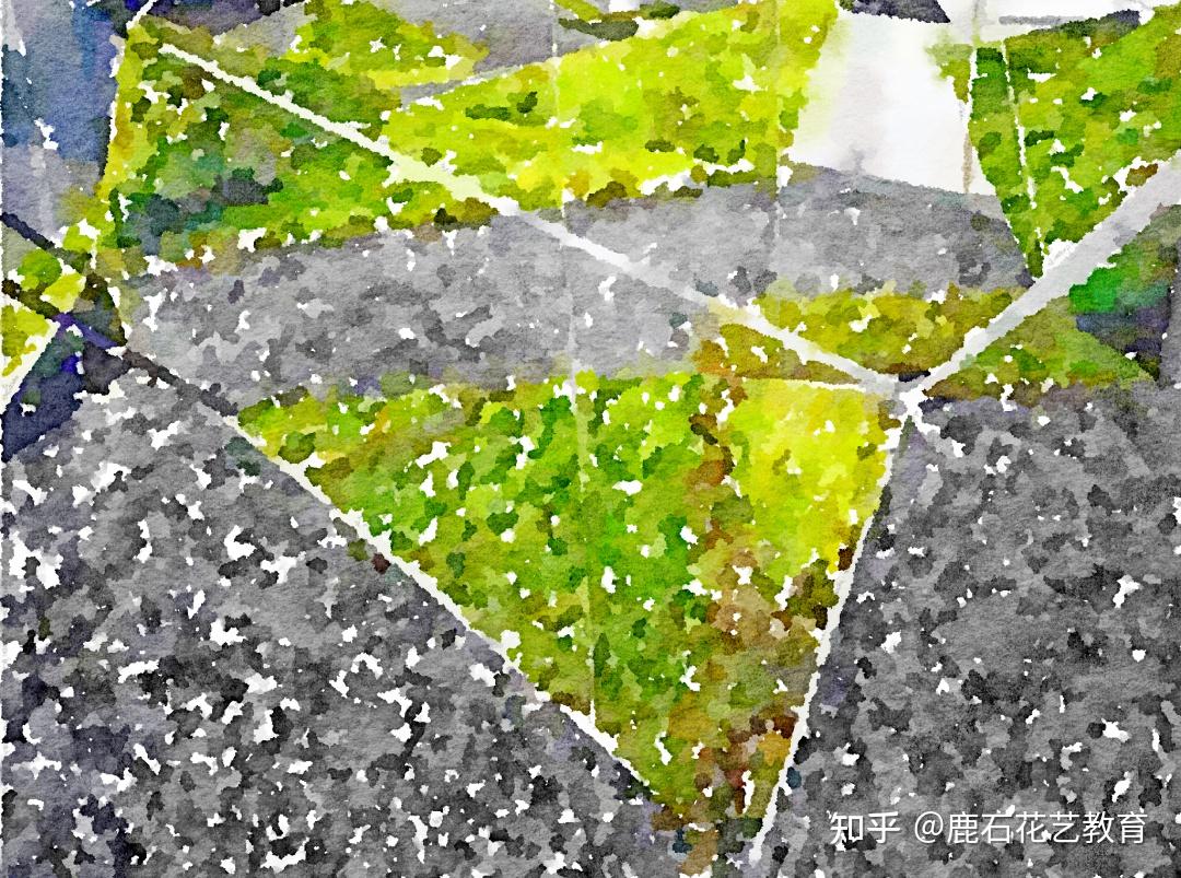 2021“无尽之境” 花植节，鹿石与你一同探寻平行宇宙！