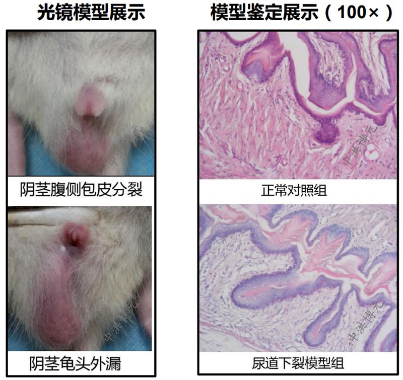 v2-e9fa5a034ddeacc8fd6fc49dd933719a_1440w.jpg?source=172ae18b