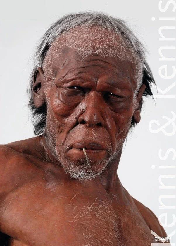 远古时期的智人和尼安德特人是如何区分对方的? - 知乎