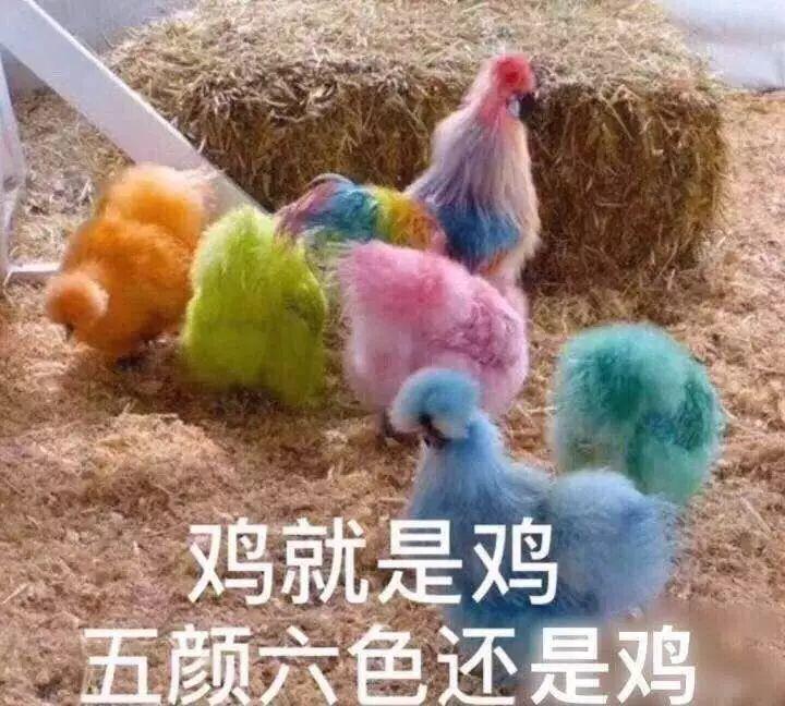 骚鸡表情包 - 知乎