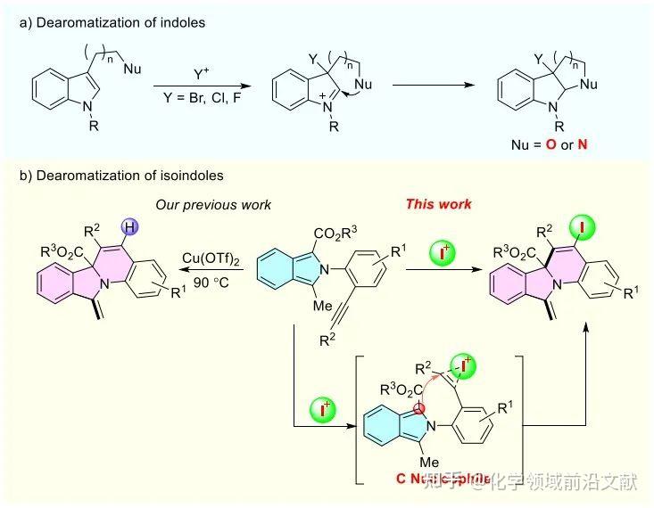 通過碳親核試劑實現滷環化去芳構化反應構建苯並吲哚嗪骨(來源:the