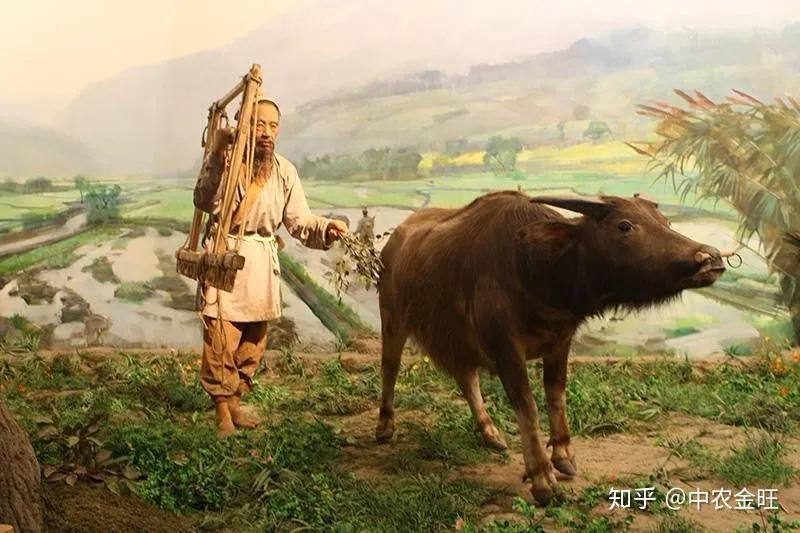 封建社会的演变,在农业生产方面则开始了由粗放农业向精耕农业的转变