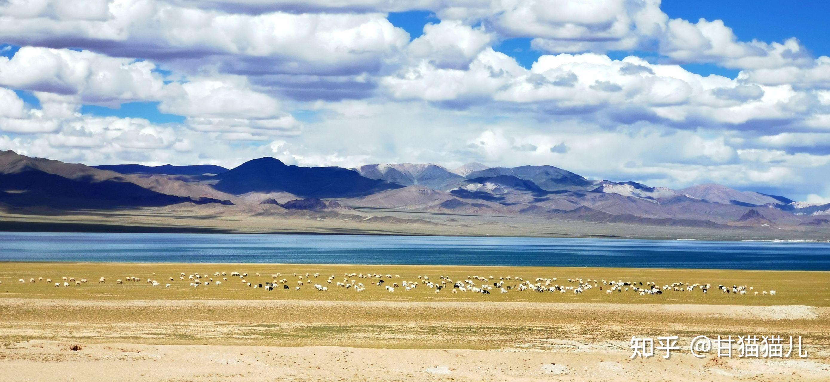 2021年你拍过最好的照片是什么