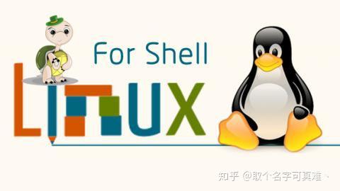 Linux Shell这几个命令要谨记 千万不能出错 知乎