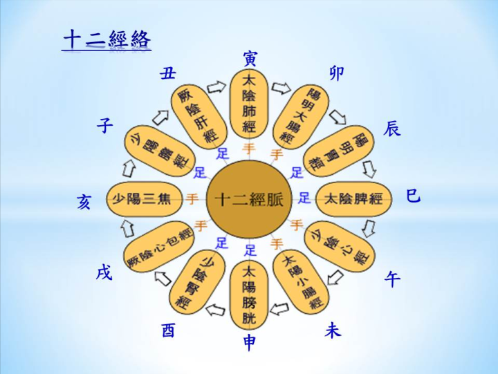 十二经络主要负责什么快记下来吧