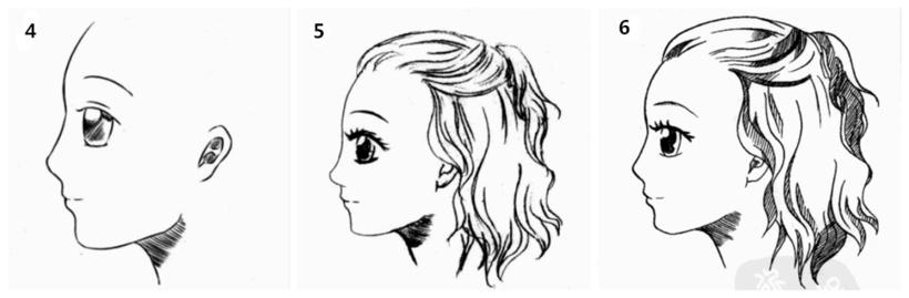 正侧面脸的画法