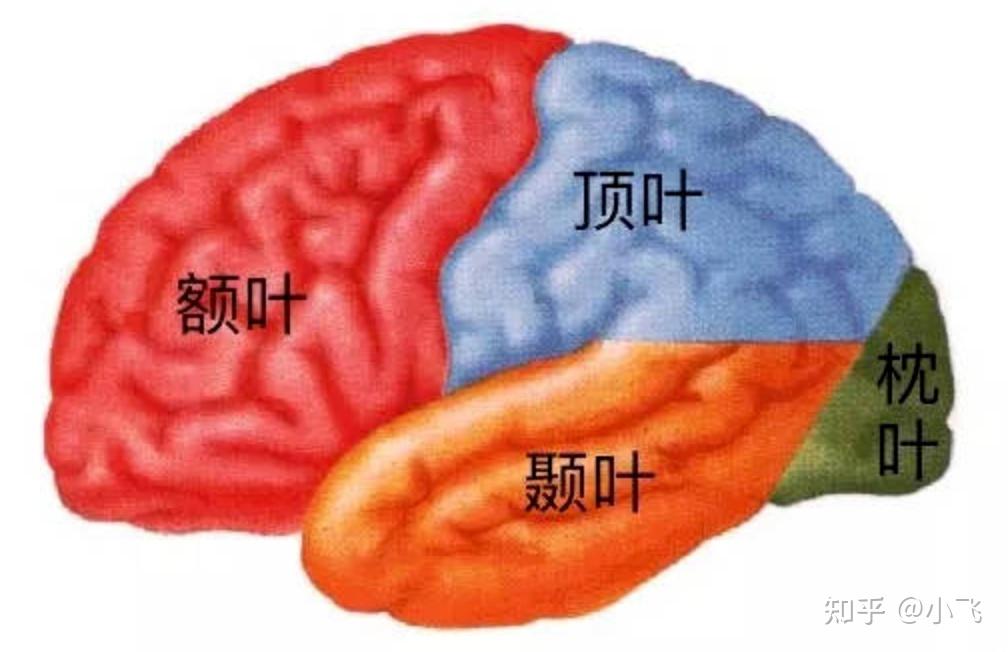 “看见鬼”是怎么回事? - 知乎