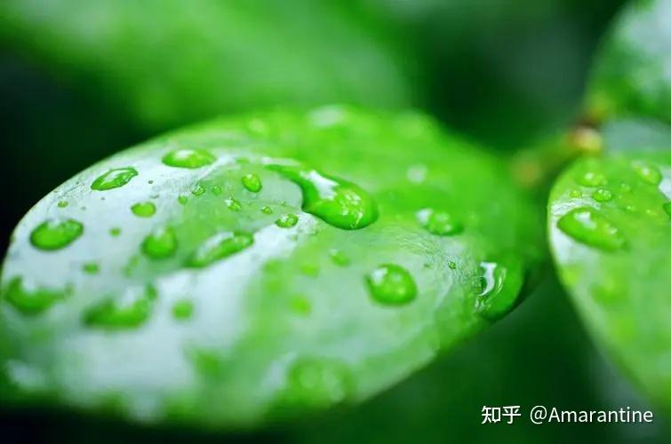 通透感与憋屈感 - 知乎