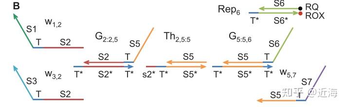 文献阅读（Scaling Up Digital Circuit Computation with DNA Strand ...