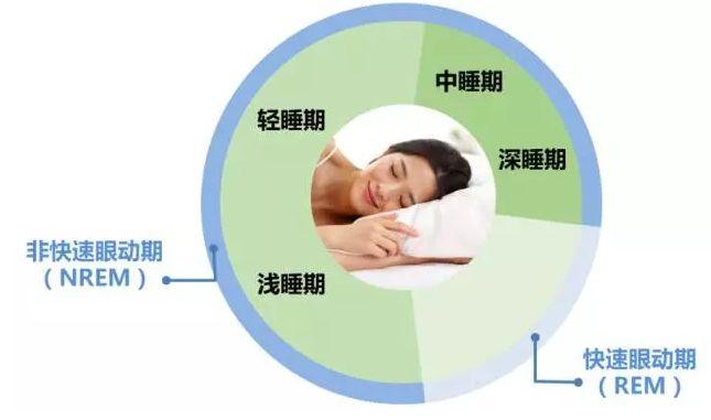 睡眠的四个阶段