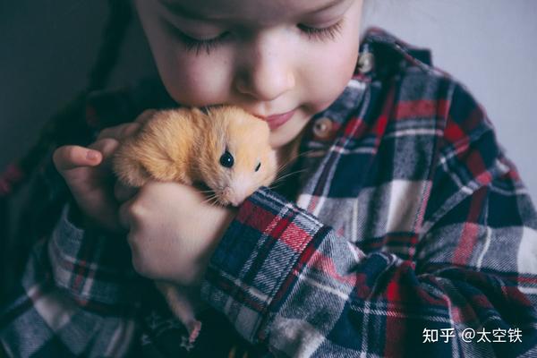 21双十一必看 史上最详细 市场常见仓鼠笼精选介绍 知乎