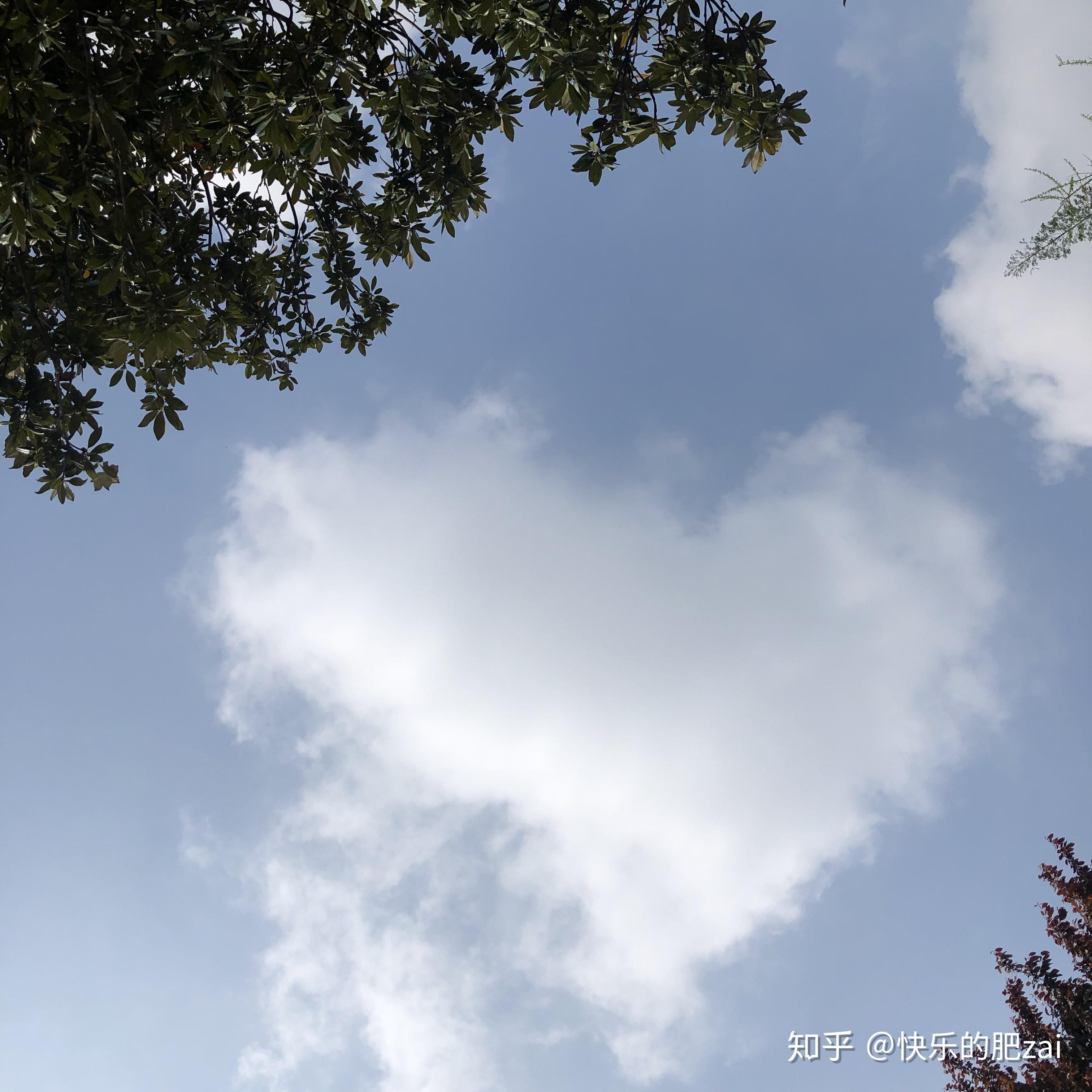 喜欢抬头看天空的人有什么样的性格