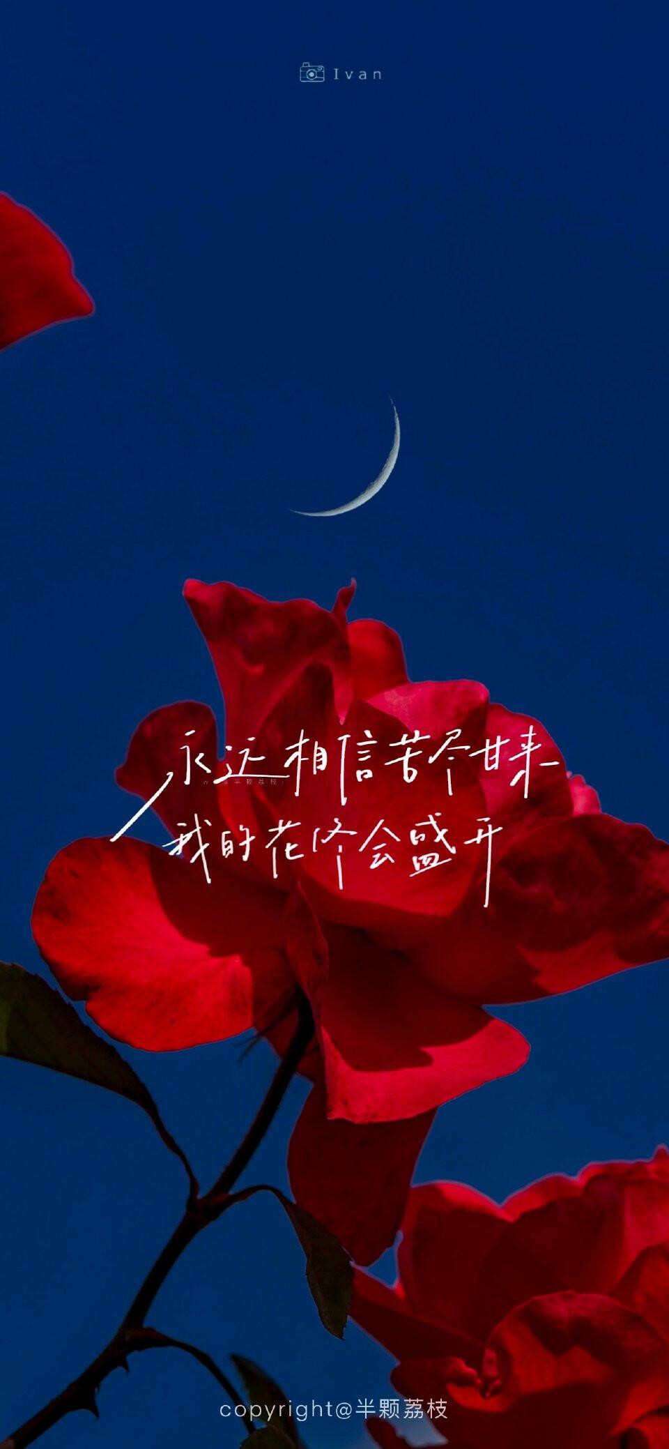 励志图片文案配图唯美总结大全(励志图片 文案)