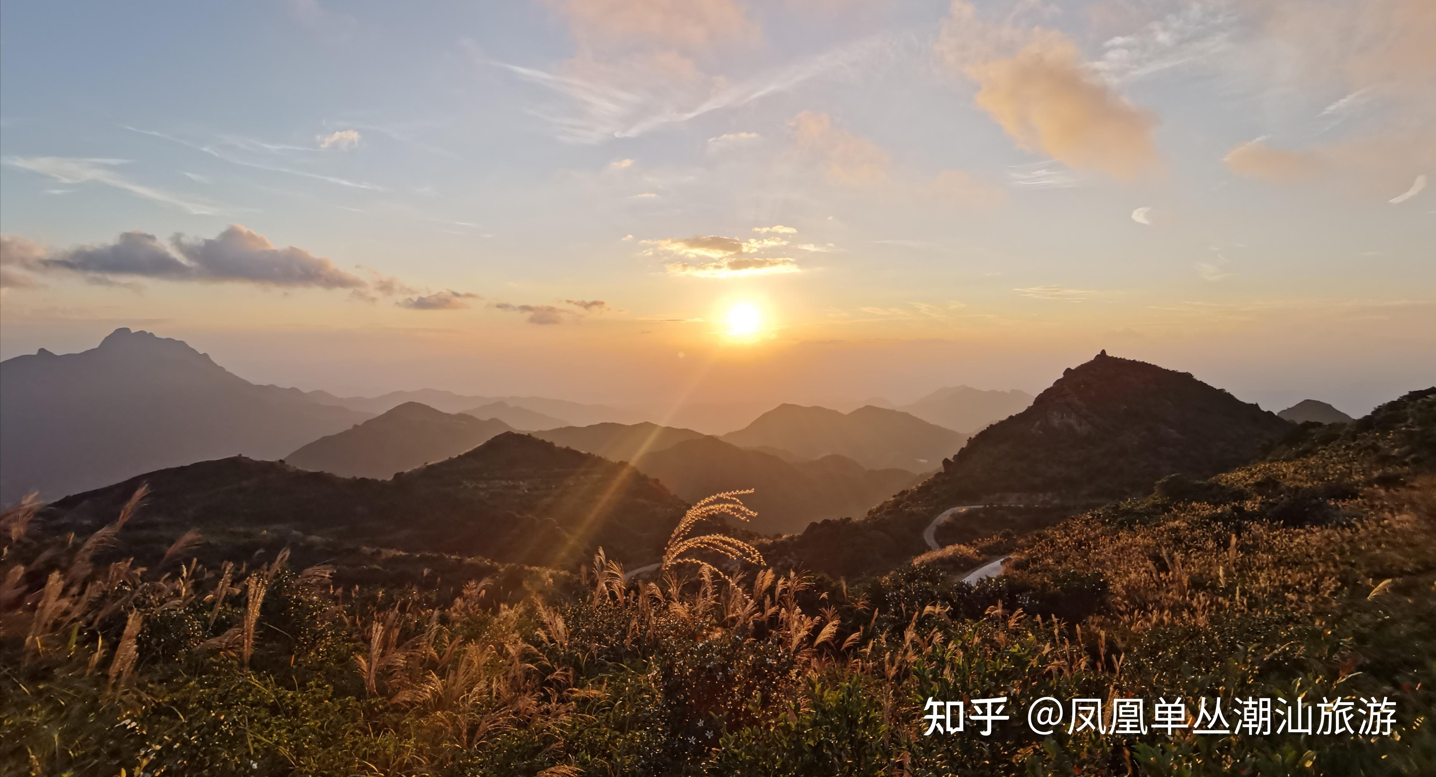 鳳凰天池杜鵑花海尋春天潮州最浪漫邂逅地和最美麗自拍地