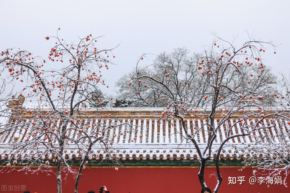 冬深流年寂寂暮雪白头愿此生相守之人此刻正陪伴左右