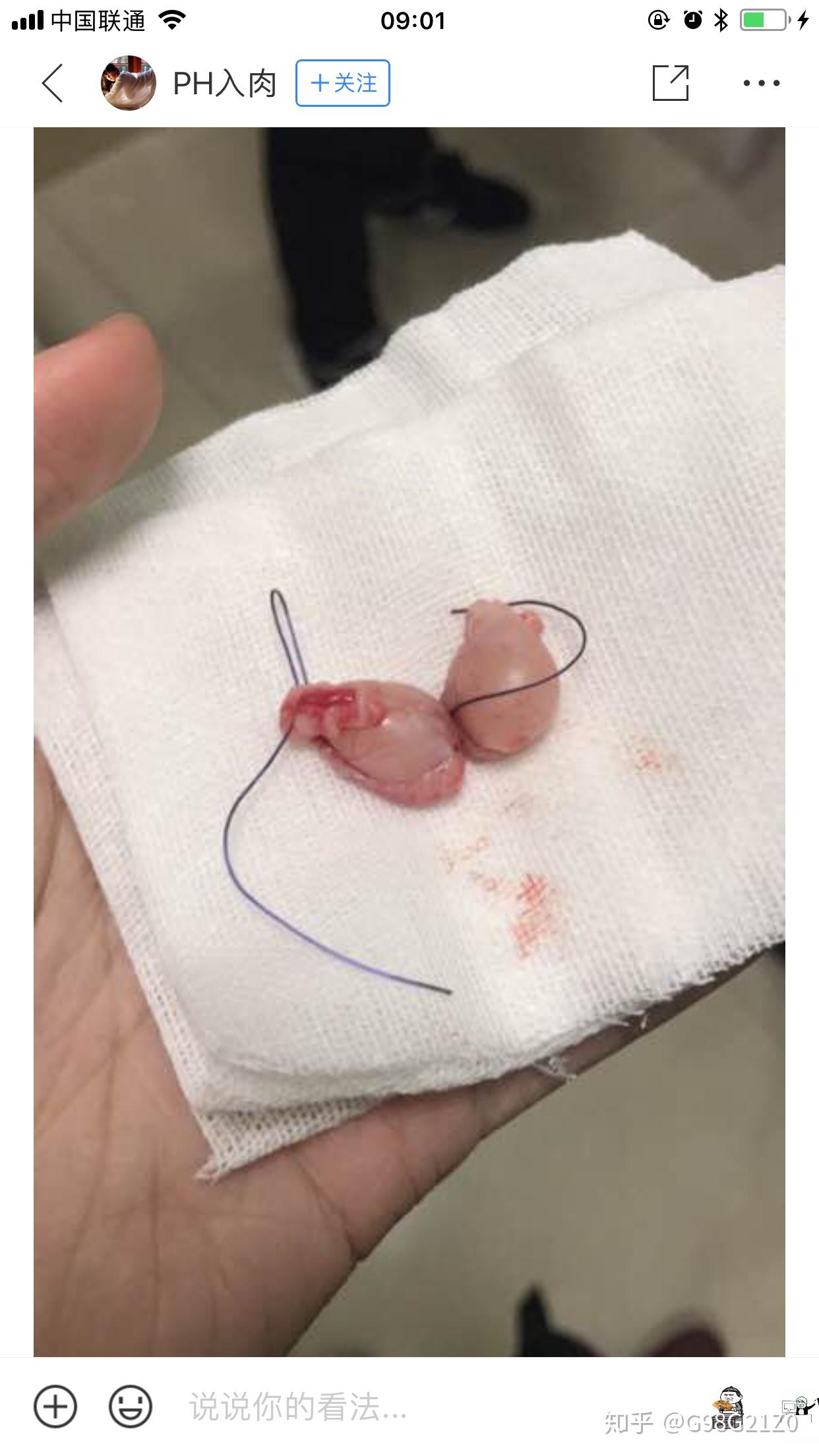 猫在阉割后会有什么特有的行为