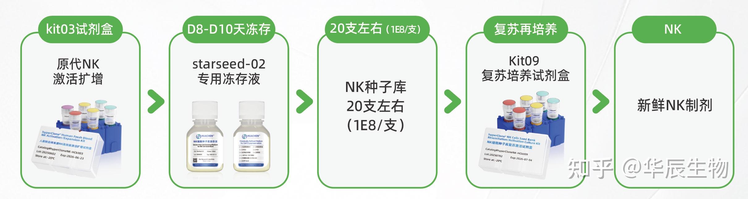 苏州华辰生物——解决方案(NK细胞种子库冻存复苏再培养方案完美组合) - 知乎