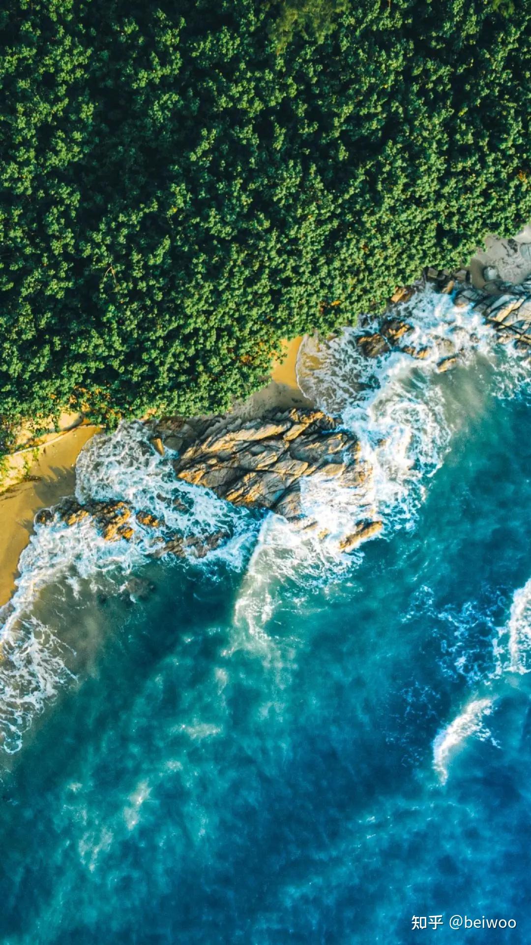 【手机高清壁纸 无水印】—— 叔本华在这个世界上,真正可供我们选择