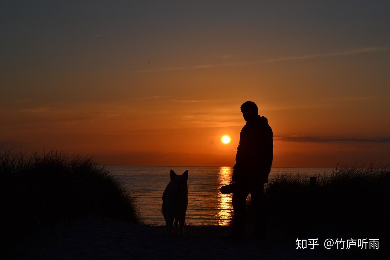 一人一狗看夕阳的图片图片