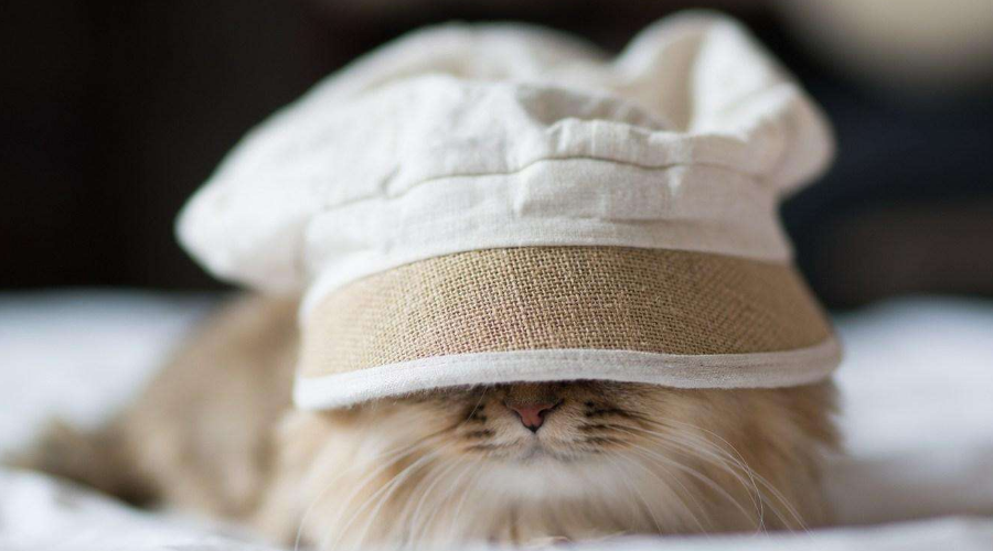 什么时候才不长痘啊 v2-ea90bb321576c6df36a5cf6ee39034ae_1200x500.jpg