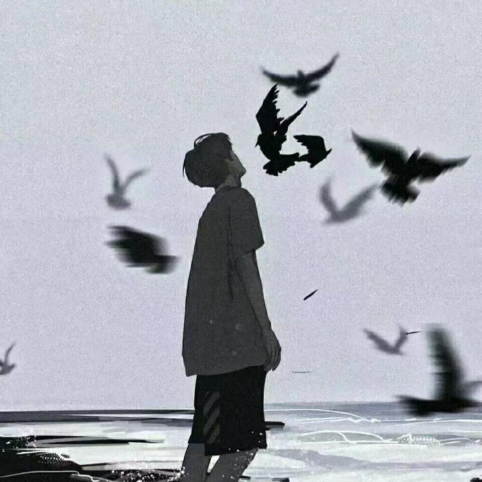 头像|不拘当前,向往自由