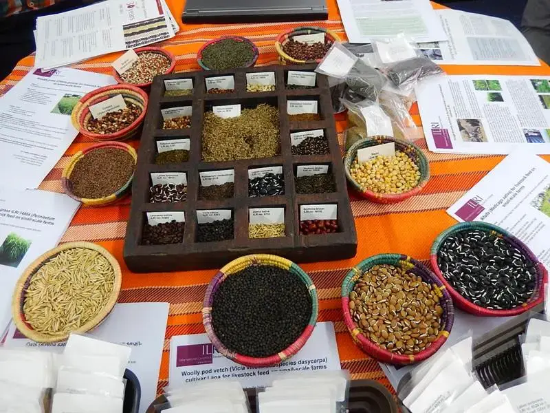 01   末日种子库