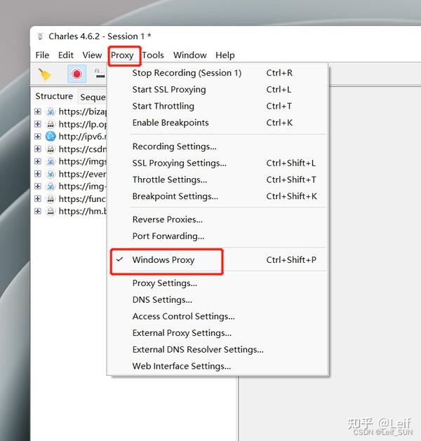 Charles https vpn 
