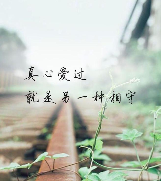 入了心的人真心爱过一生牵挂