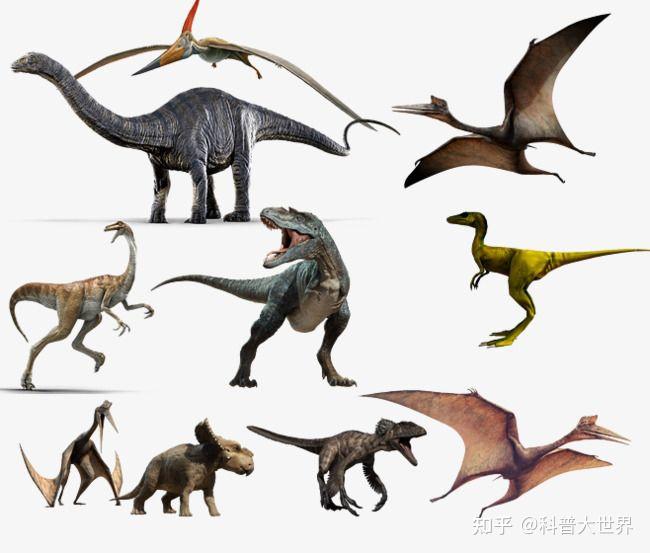 霸王龙的祖先进化图图片