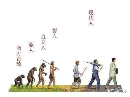 有三种物种,可能取代人类的地位? - 知乎