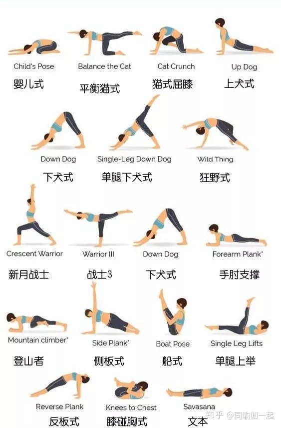 经典流瑜伽序列,练完太酸爽了