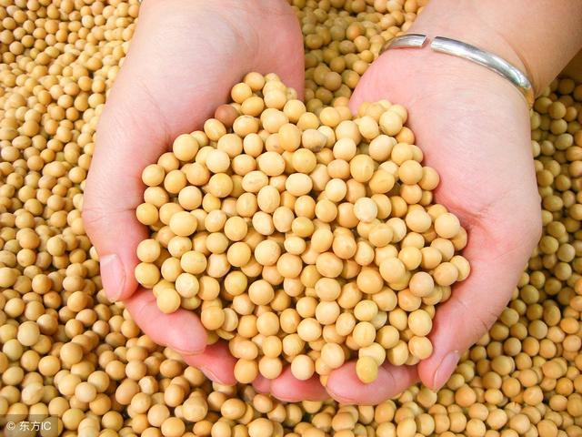大豆异黄酮有6大作用尤其适合女性盆友吃