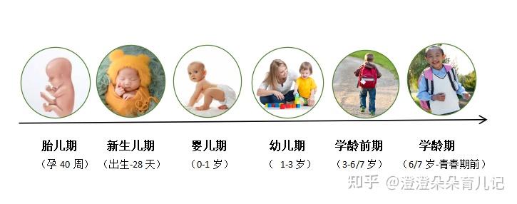 婴幼儿年龄分期及各期特点有哪些？ 知乎