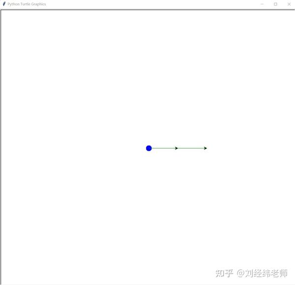  turtle dot stamp 