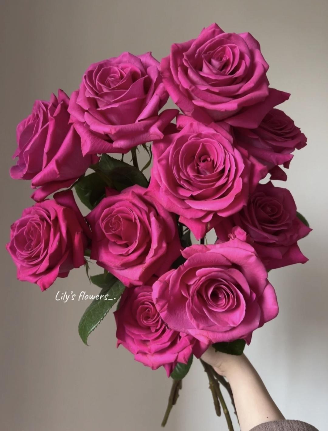 玫瑰图鉴‖兰蔻的御用玫瑰弗洛伊德,魅惑又高级 - 知乎