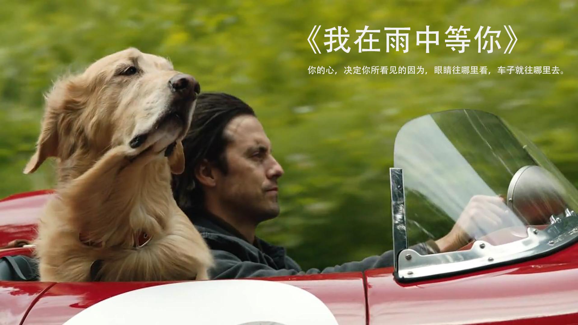 在雨中等你