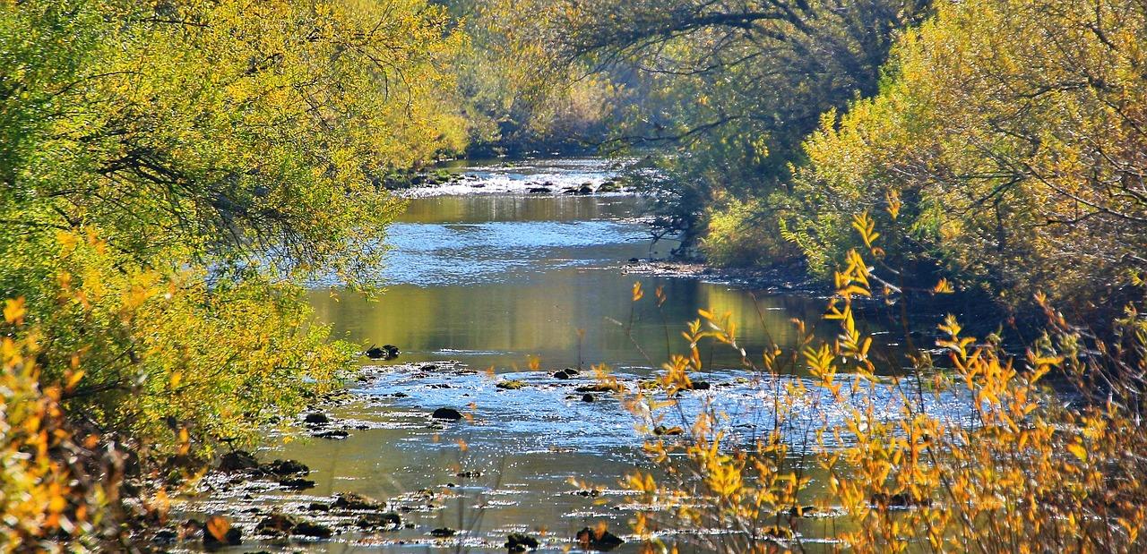 5. 东岸社区环境优