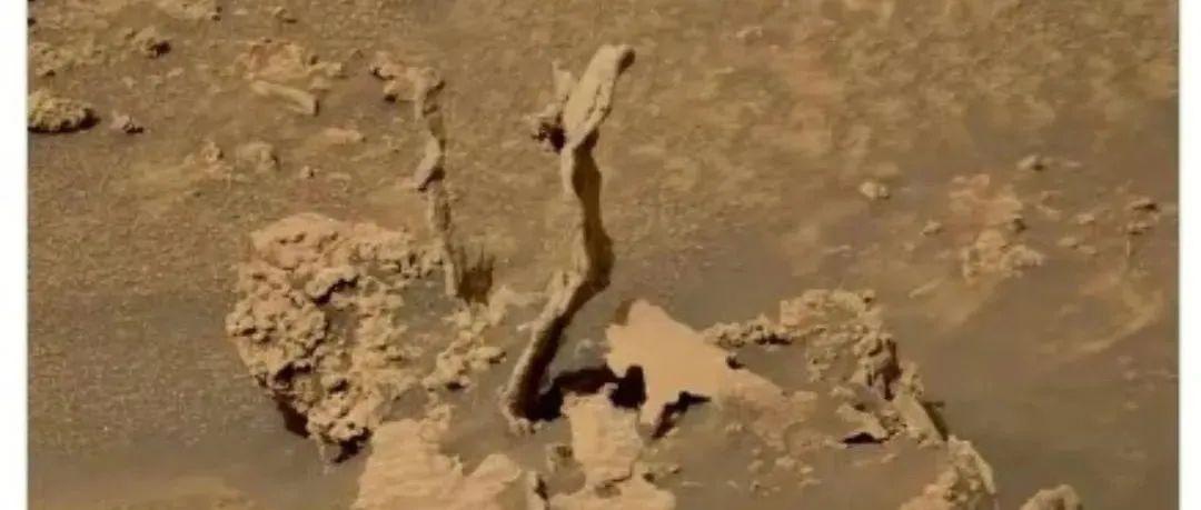 又传回怪异照片 美国好奇号在火星发现奇怪构造 像植物化石 知乎