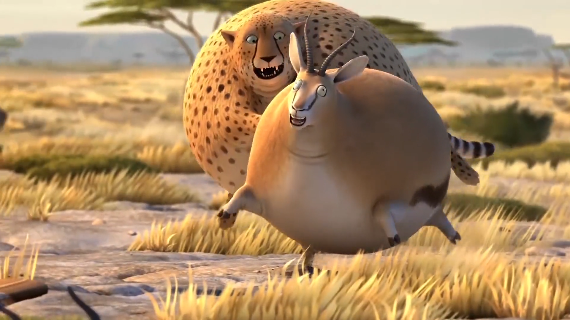 有空一起去吃鱼吧,我看你挺会挑刺的.