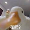 如何评价摇滚乐队andymori 知乎 如何评价摇滚乐队andymori 知乎