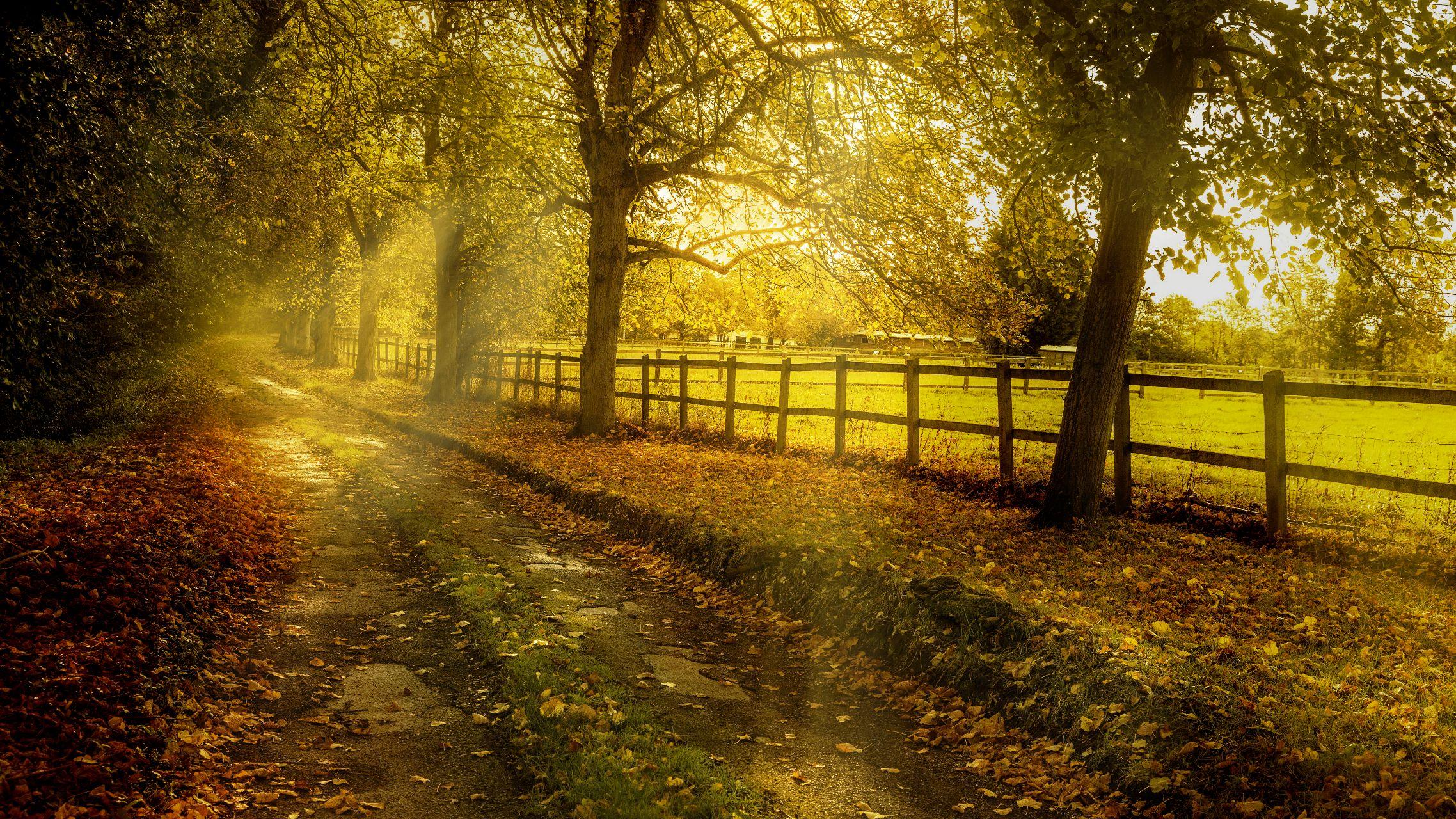 有没有那种暖色系街头风壁纸