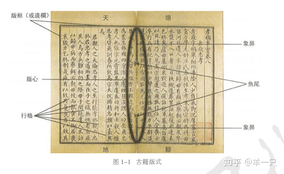求教怎么看古籍的版式特点呀?下面这张图的版式特点是什么? - 知乎