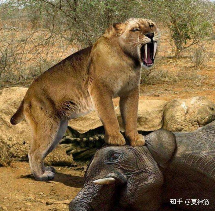 剑齿虎是怎么进行捕猎的?