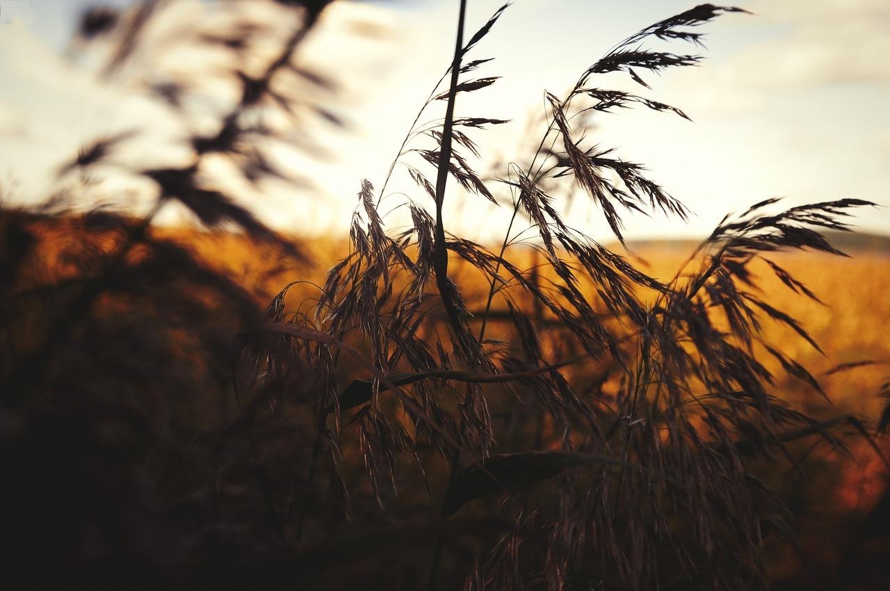 夏季如何降低湿度