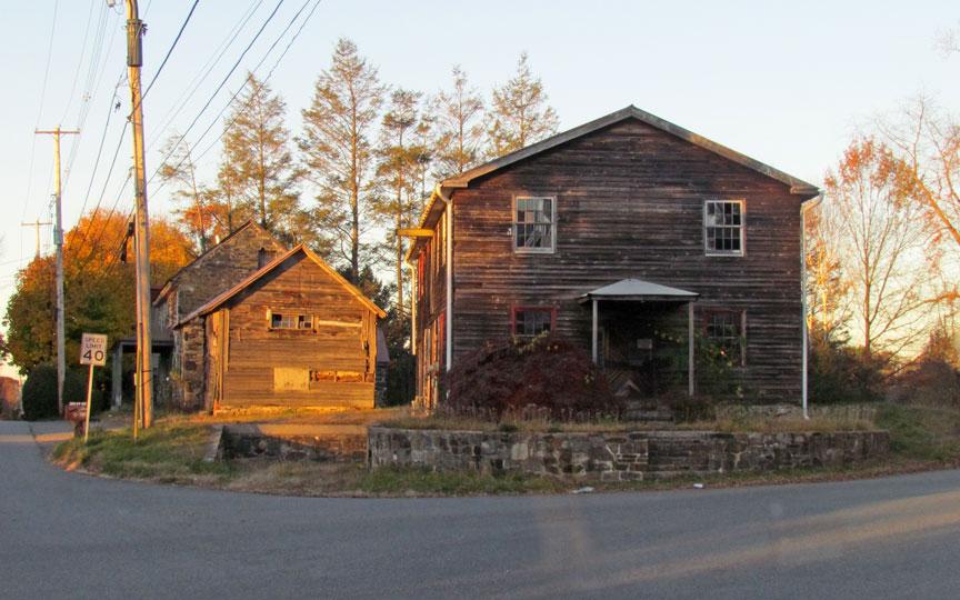 1939年获得植物学学士学位后,kligman对植物的兴趣集中在真菌学