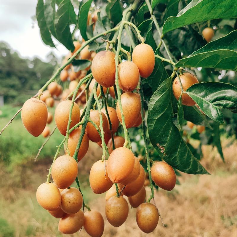 v2-eaea4ae28a93b25cf843043278960d5e_1440w.jpg?source=172ae18b