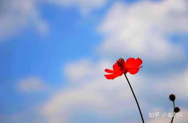 24\u5c81\uff0c\u9ad8\u4e2d\u7f8e\u672f\u8001\u5e08\uff0c\u517c\u804c\u5de5\u4f5c\u6536\u51653000\uff0c\u4e00\u8d77\u770b\u770b\u5979\u7684\u6545\u4e8b - \u77e5\u4e4e